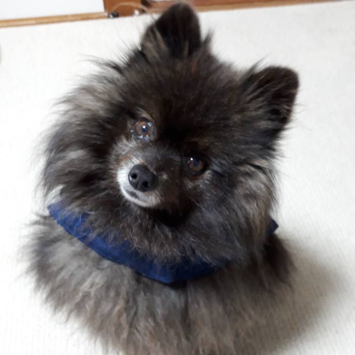 Fdd5e48a 72f6 4040 8537 ca3676267e5b 1518724784056