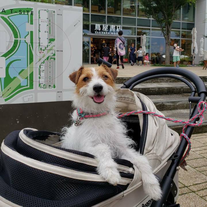 Fdd5fd91 ec0d 44d4 b42f 4aac3fb4acfe 1593937746169