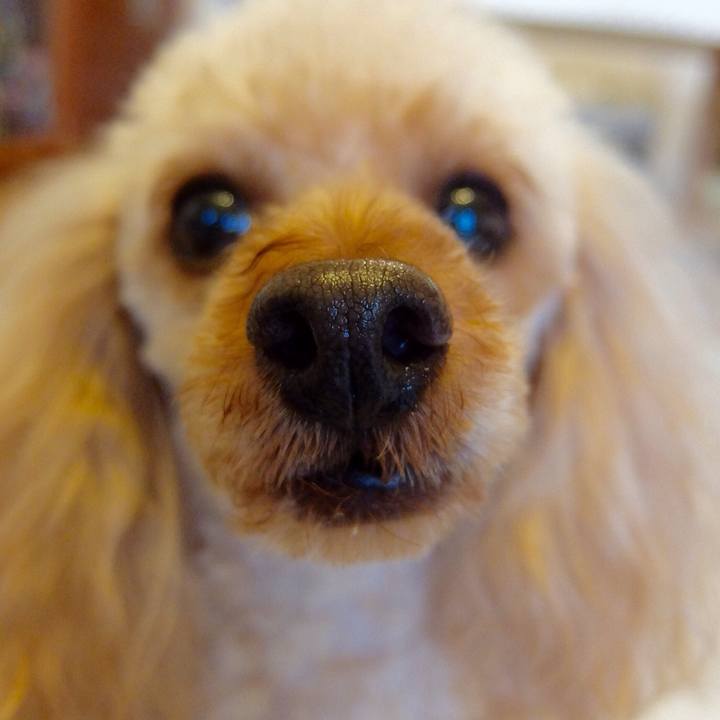 Fdd624fc 040f 42bc ac18 5417d43e77cf 1523752878519