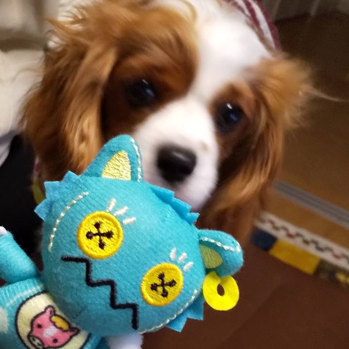 Fdd64c19 a0d6 4811 9e38 7bdc1babdae0 1576332392074