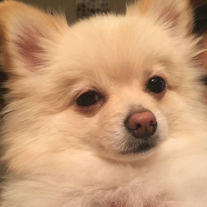 Fdd64ee4 0404 4c35 804b eaa33f227ebe 1540423301315