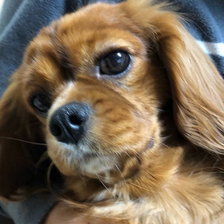 Fdd666f1 42b9 4ba7 8808 273d8571f89e 1546985990475