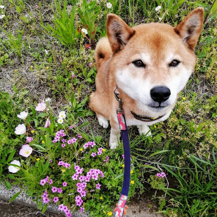 Fdd67446 ffe1 4293 8e9a 292aa6b1d94e 1620356981560