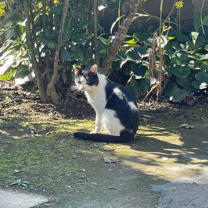 Fdd67f3b edbd 4238 a460 f905a07bb0c2 1635558345228