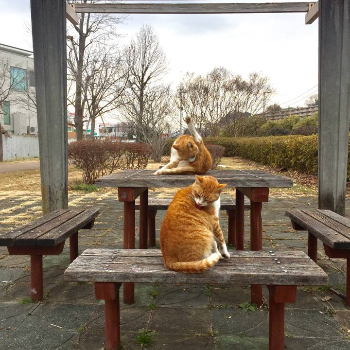 Fdd686bb b20b 4084 8c0a d4fb34cc2408 1517475092937