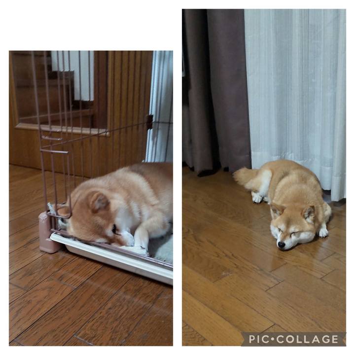 Fdd69320 611e 40d8 813f ad56d7601599 1750554851784