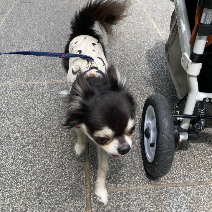 Fdd6b38a e3c9 407c 80de 37800d944ba7 1714396813044