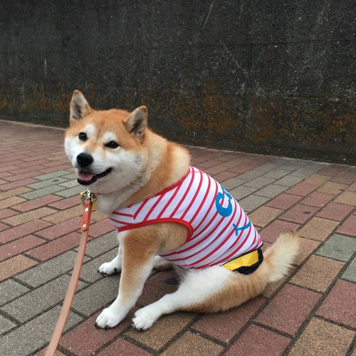 Fdd6c128 e256 4cf7 84fc 94c4cd9650cc 1568370413827