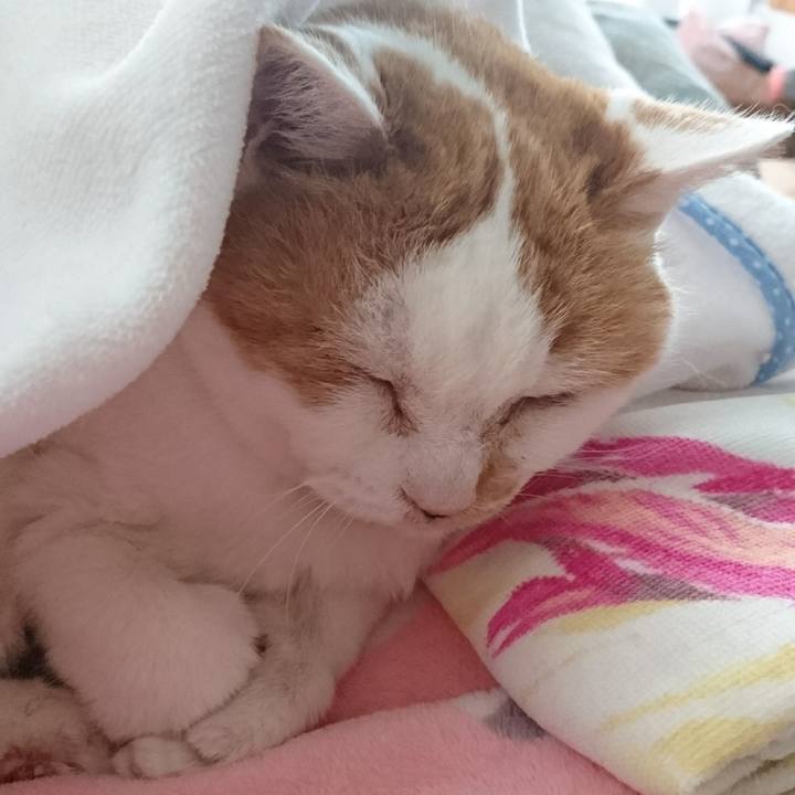 Fdd6d08c 2478 4043 89cf c1e1eade9403 1674297829265