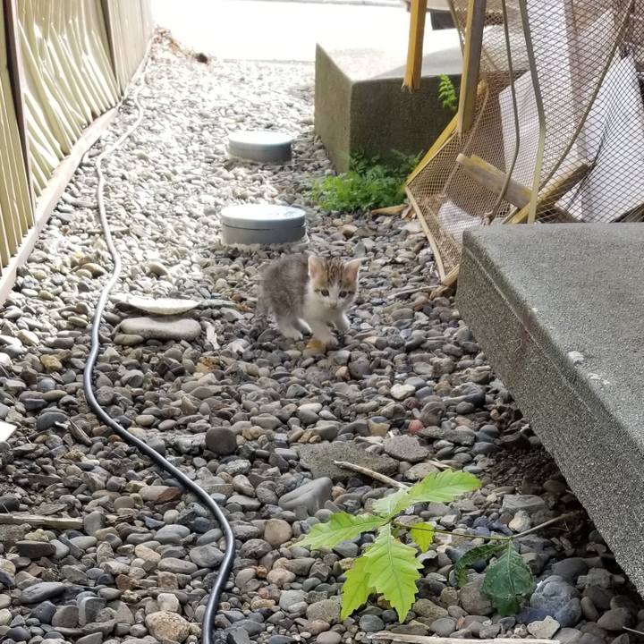 Fdd6ed63 fff1 44af ab5e fa66302ec3d5 1597583691788