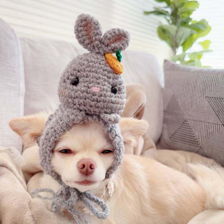 Fdd6fed1 10d0 4712 bd81 642a4e8b52ec 1687176499812