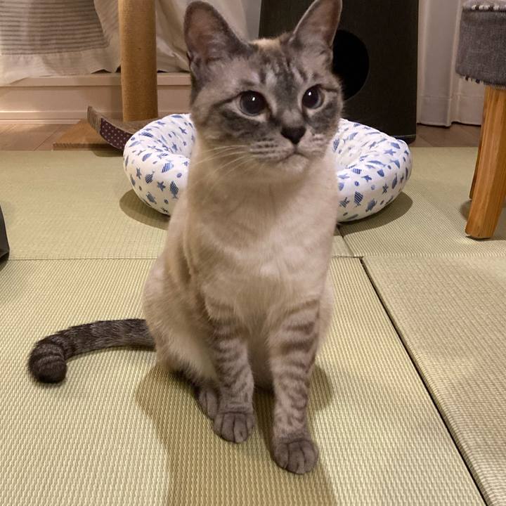 Fdd70381 c441 4dc7 a72b 51ee72db75b2 1653920925506