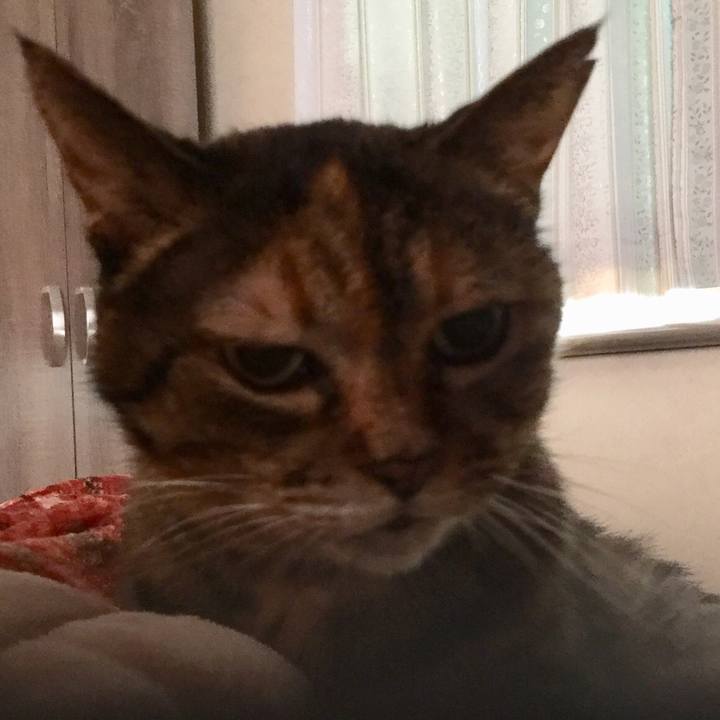 Fdd70581 ddd6 4e22 9efb 8fbc9638f701 1542709803016