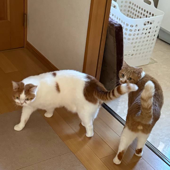 Fdd70944 0367 4406 8a55 0bc55dc04932 1762224652265