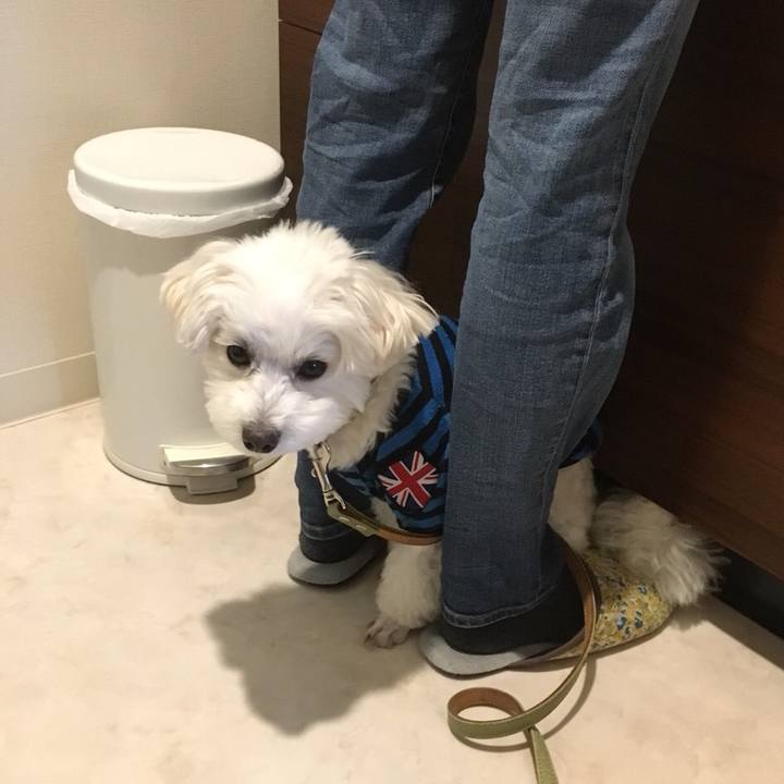 Fdd711dc 13d5 4180 80b4 dee316447d5b 1587530324102