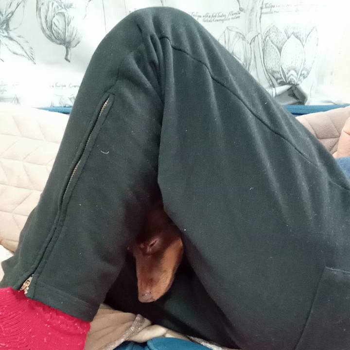 Fdd739c4 d95e 46fe 9f29 162a92b1490a 1770674297223