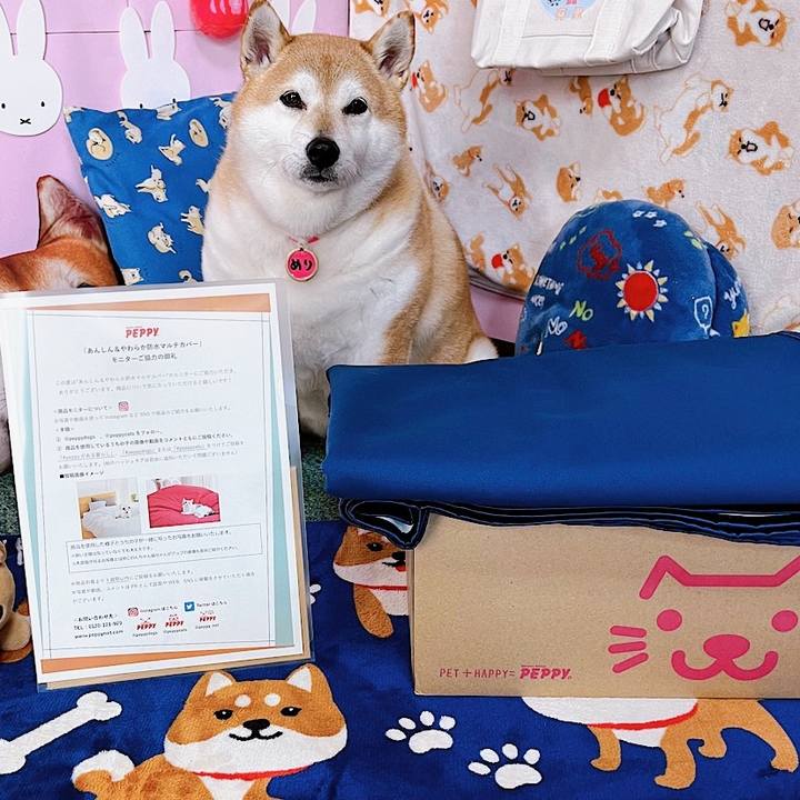 Fdd7d697 f341 4f09 8143 b5641cb10df7 1678329342265