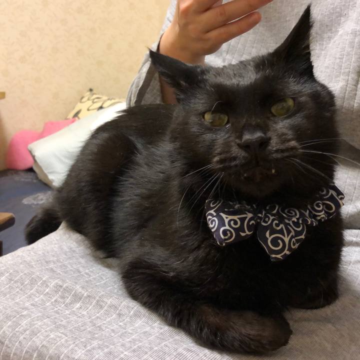 Fdd7dd14 cf6b 482b a132 a0583c35b7aa 1576187255913