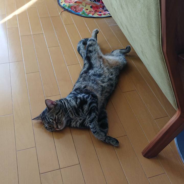 Fdd7eb19 c655 49f3 8438 f3aa8b7c8e69 1532934033504