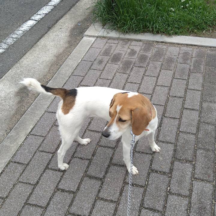 Fdd80304 2deb 4f74 acd2 c9ecfae67e3b 1621248683597