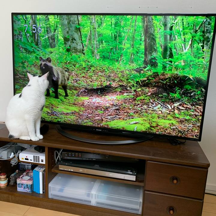 Fdd80325 a314 423e b7cf f361f4b68d13 1595718598819