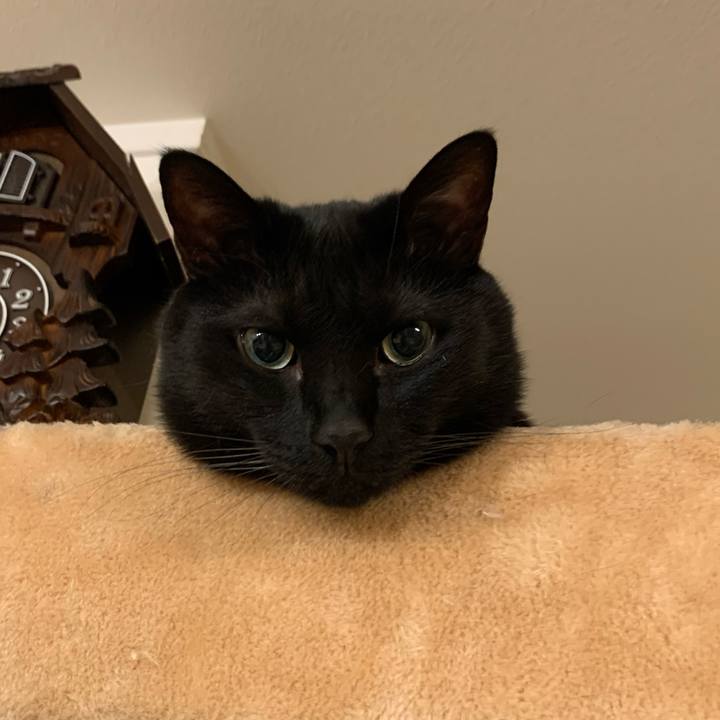 Fdd81146 fbc4 4036 ade6 695408202604 1748447765178