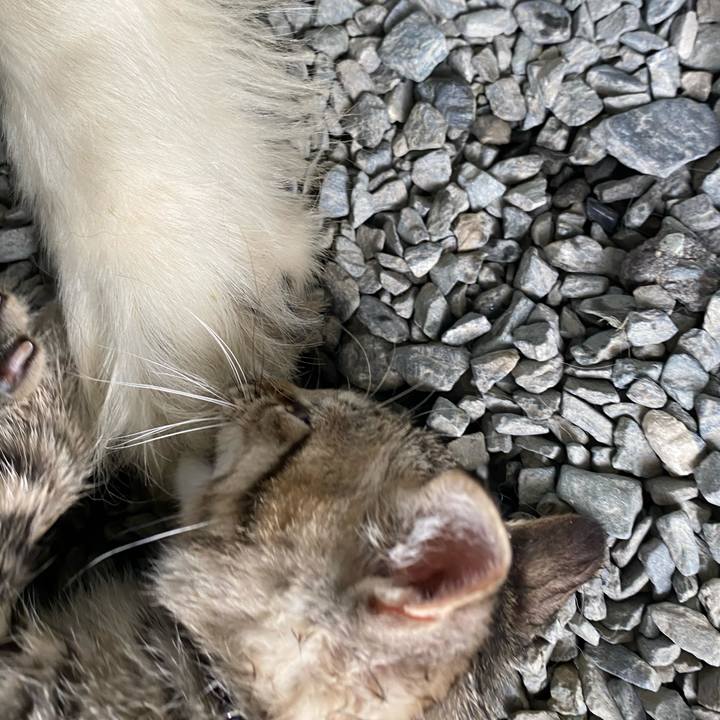 Fdd8154c d06d 4add b388 fd3e58e4d65a 1599039015291