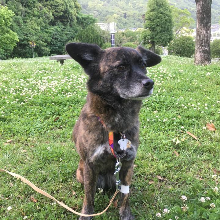 Fdd81d94 9c79 492f 993a 2b52fa935dcb 1527986905039