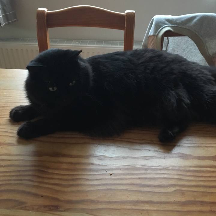 Fdd8241a b7a3 4ed7 b375 ec5f2d2a86da 1534763253702