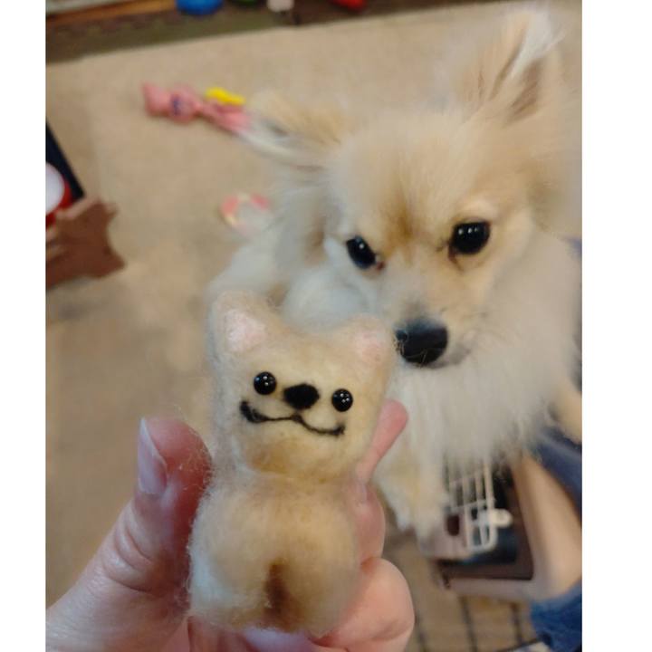 Fdd8611c 6939 4fc0 a925 bb4b6e85c74e 1747301023330