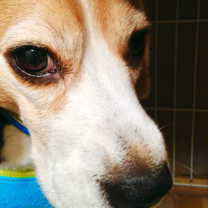 Fdd88f40 7d2f 4cbe bcca 9c9041c86c45 1771845360804