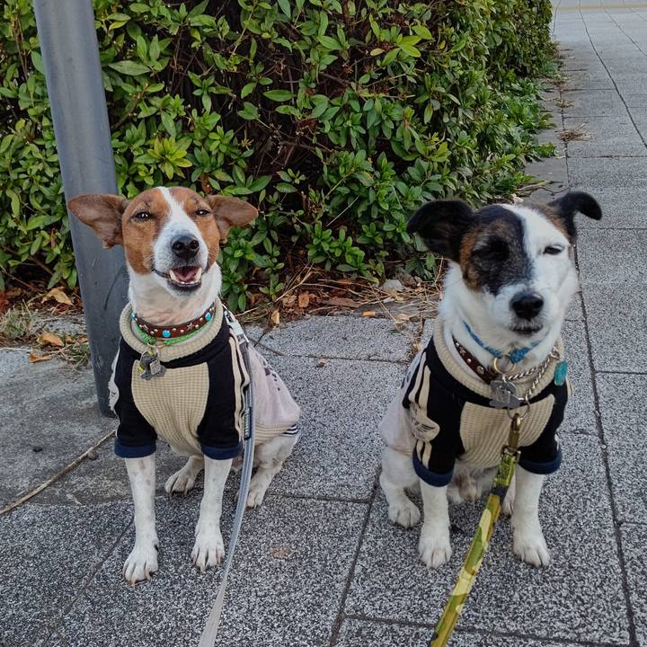 Fdd8b315 ca21 4585 8556 e55c255c9c40 1668121299418