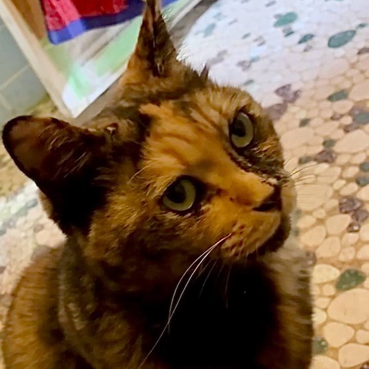 Fdd8f28a 65e0 4451 8bc3 bee707061d2d 1760387024903