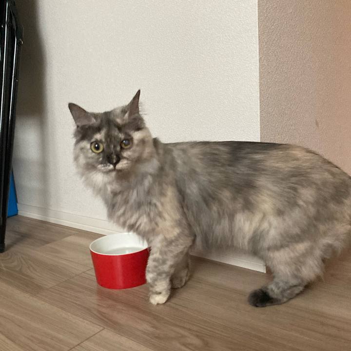 Fdd90af2 6ba0 450d a0da 5da9765e00a3 1746488969289