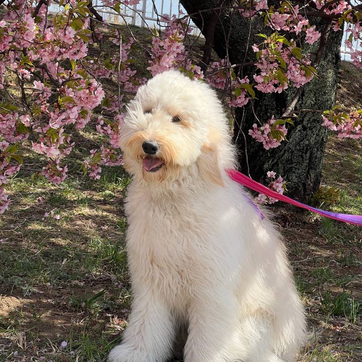 Fdd924ed bc4e 419d 8c84 e39595c8658d 1742722319520