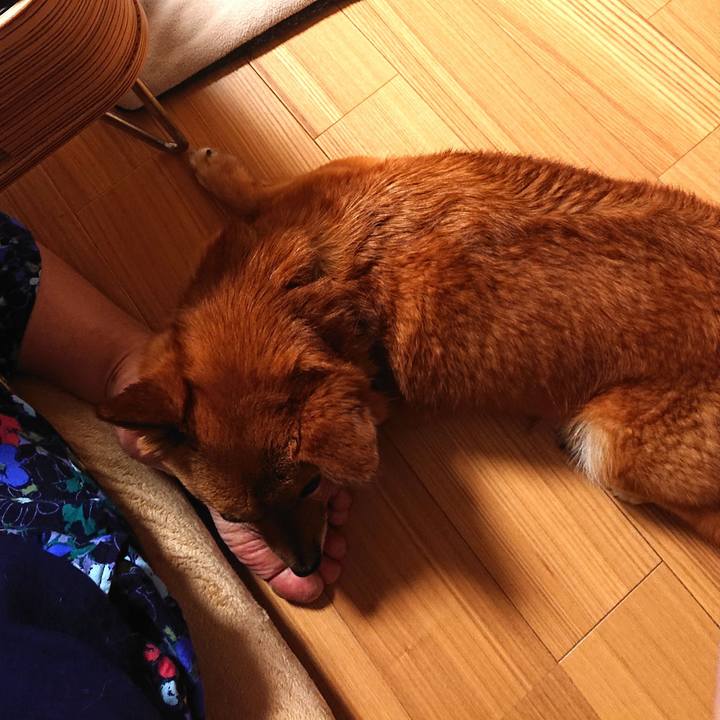 Fdd9407b 7fc0 480f a153 602813e8305a 1560141762693