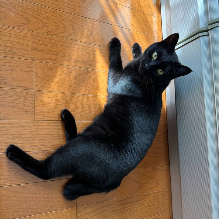 Fdd959bd 2e95 42b6 82ad ada30c5e9410 1763084953631