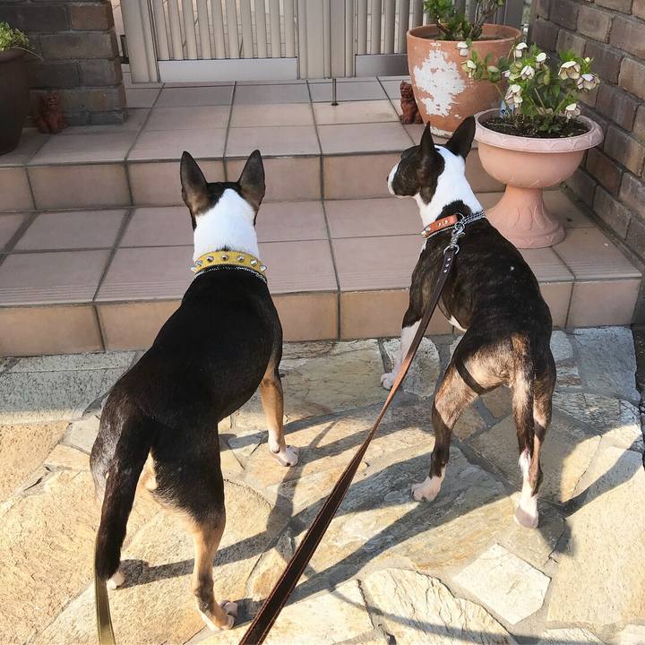 Fdd96677 0de7 4820 843a 6f92751a3440 1522403838626