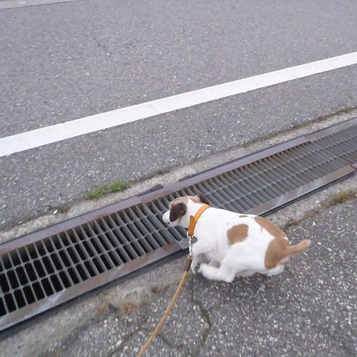 Fdd99347 12e2 405e 9c81 c695cb6eab99 1530355976473