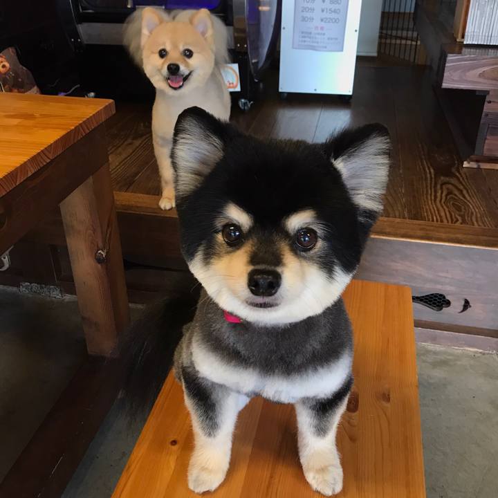 Fdd9be6a c551 41ea a828 082f1ea1e40e 1593623026604