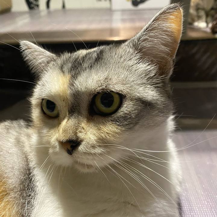 Fdd9c4f8 79a5 4e49 b5ab d3d38be0a34c 1633095415146