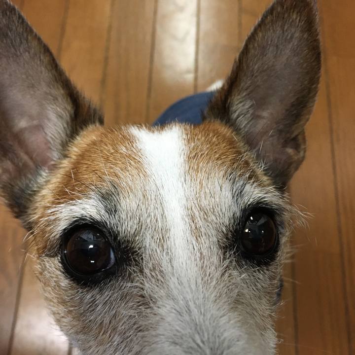 Fdd9f579 131e 410c 975c 1836ec7ef2a9 1651882672239