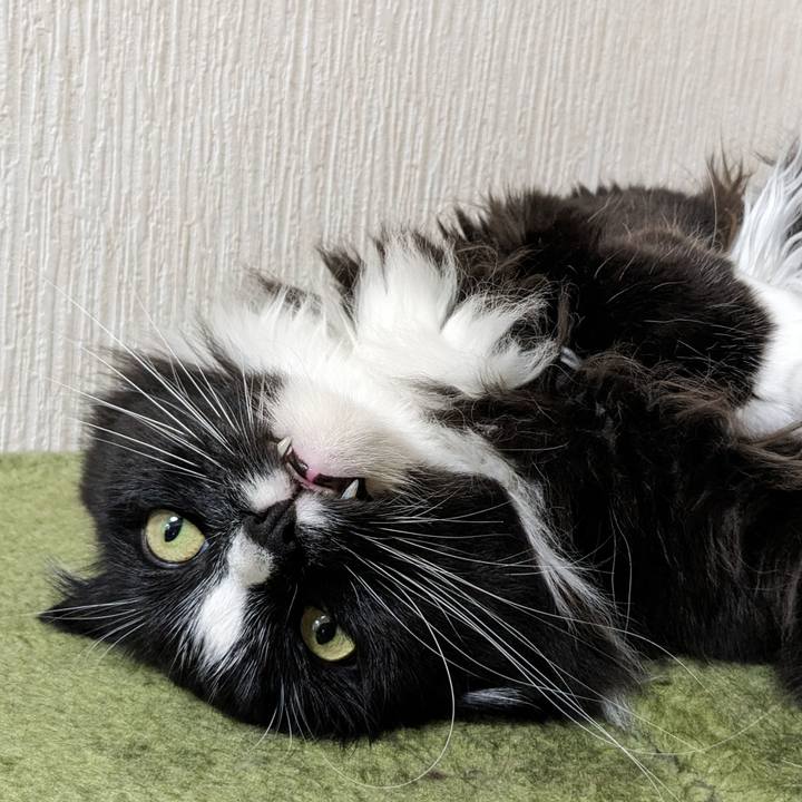 Fdda1233 fdee 4a72 9edc 0618340addda 1717037929858