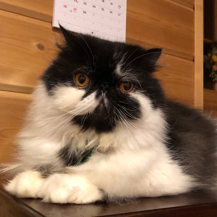 Fdda6017 20eb 4175 af83 618776d1e838 1556630143618