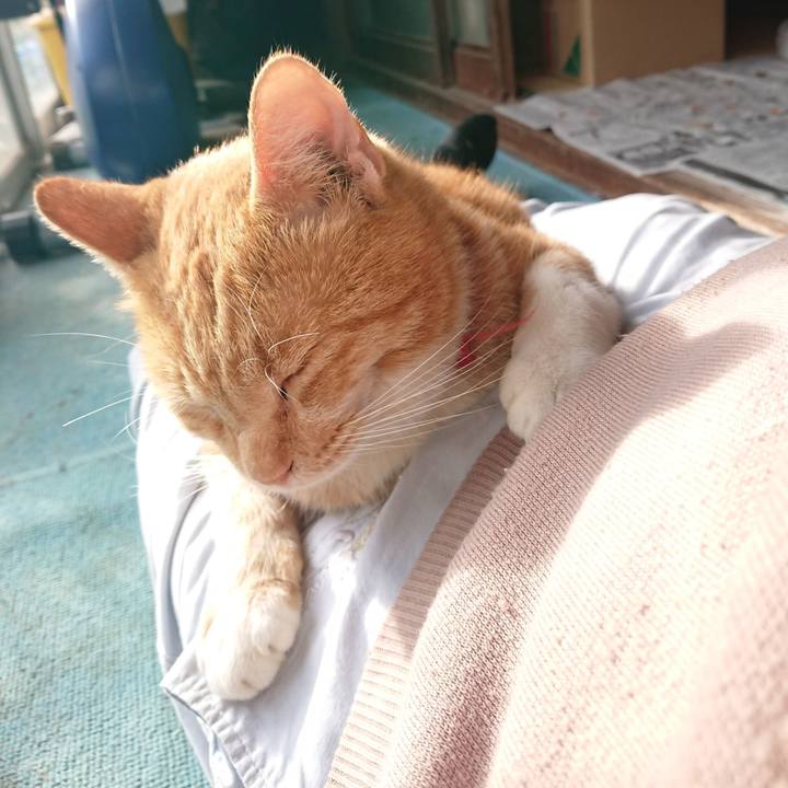 Fdda8f63 b4ab 4ac7 bb5b 80641de2a493 1572156348287