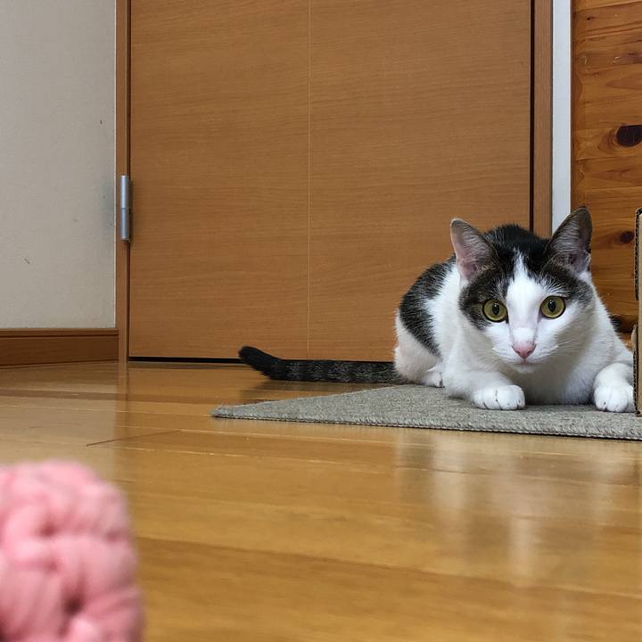 Fddab3e3 4674 4817 9242 2f318bd55a6b 1621951911021