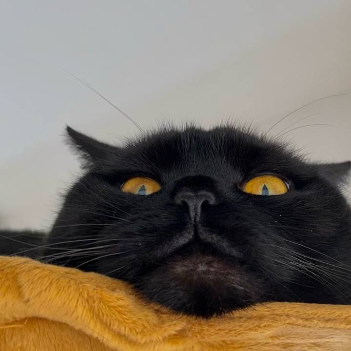 Fddab69d ea10 4b6d a681 d2193b6813bd 1618801495034