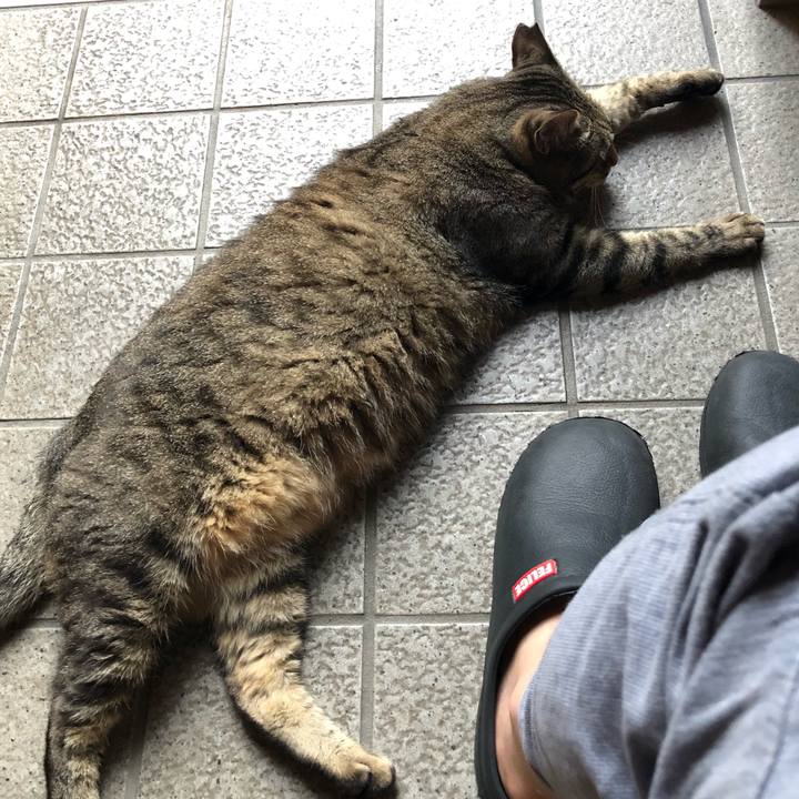 Fddacee9 d556 41d0 ab5c e9e3fa3e0027 1532085681335