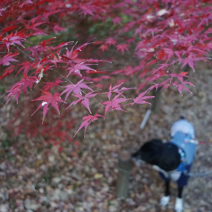 Fddae966 7019 49e0 9824 30e56cea0aab 1764551965278