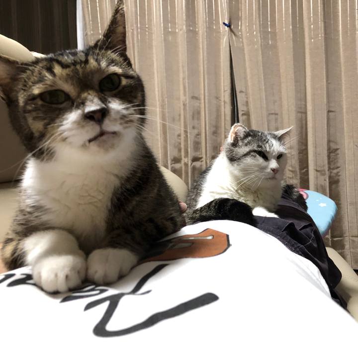 Fddaf351 6a4d 45e6 b6f1 0fd6d1a7c65d 1654426021924